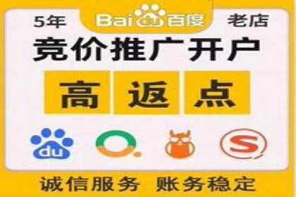 竞价托管与SEO结合的案例分析